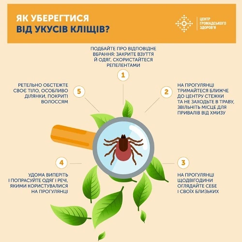 Перша допомога при укусі кліща Перша допомога при укусі кліща