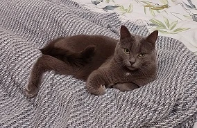 10 фактів про головного редактора «Служби охорони праці»